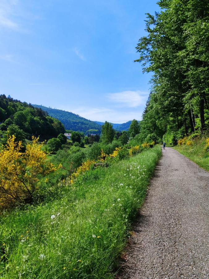 Fewo Albtaleck - Wohnen Im Kurort Waldbronn Exterior photo